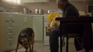 Digital dogs doing good